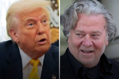 Steve Bannon says ‘Trump is going to prison’ if a Democrat wins 2028 presidential election
