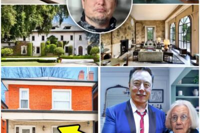 96-year-old Woman Is Forced To Sell Her House To Brokers. Then Elon Musk Shows Up And Does The Unthinkable (N)