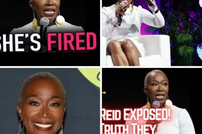 MSNBC Cancels Joy Reid’s Primetime Show Amidst Plummeting Ratings