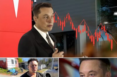 Tesla Collapses, Twitter in Chaos, and Now $144 Billion Disappeared: Can Elon Musk Stand Up After This Financial Nightmare?