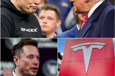 Elon Musk Publicly Regrets MAGA Move, Tesla’s Getting Crushed by Trump’s New Tariffs #FAFO Season
