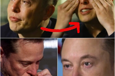 Breaking News: Elon Musk says he’s shocked at the level of Tesla hate and vandalism happening: ‘I’ve never done anything harmful’
