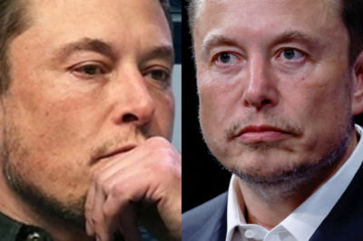 Germany Shuts Down Tesla Operations, Elon Musk’s 7-Word Response Stuns the World