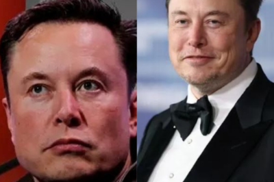 Elon Musk Reveals Revolutionary $13 Billion Tesla Airplane with a Physics-Defying Feature