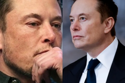 Tesla Investors Urge Elon Musk to Resign Over ‘Reputation Damage’—His Response Shakes Everything Up