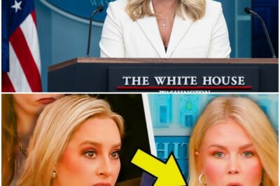 Trump Press Secretary Karoline Leavitt HUMILIATED AFTER Caught Liing About Tariffs!