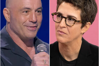 MSNBC Becomes ‘MuskNBC’: Joe Rogan Replaces Maddow in Wild Network Overhaul as Elon Musk Declares War on ‘Woke News’