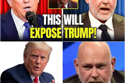 Trump GOES BALLISTIC As The Lincoln Project HUMILIATES HIM With New Parody Ads