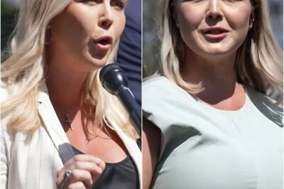 CONTROVERSY EXPLOSION: Karoline Leavitt exposes the “SHOCKING TRUTH” behind a series of fake news stories from the media—The response that sent the press WORLD TURN!