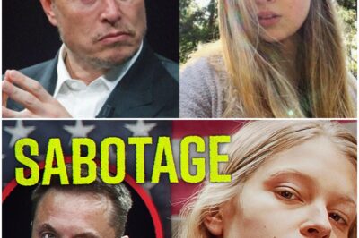 How Elon Musk’s trans daughter is sabotaging him (Elon’s angry)