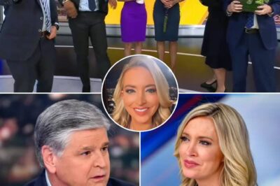 Fox News’ Kayleigh McEnany surprises fans as she guest-hosts Sean Hannity’s slot during his absence from show