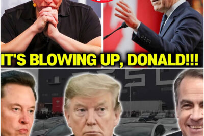 Canada’s Stunning Strike: Tesla Booted from EV Program — Musk and Trump’s Silence Is Deafening