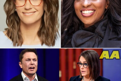 SHOCKING MELTDOWN: Elon Musk DESTROYS Jessica Tarlov On LIVE TV After She Defends Jasmin Crockett — “America’s Problem Isn’t Race.