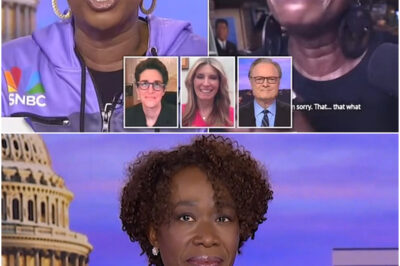 Joy Reid exit took MSNBC staff ‘by surprise’ with other star hosts now ‘looking to jump ship’ as chaos reigns at network