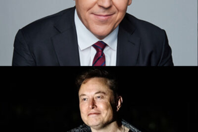 Musk, DOGE, and the IRS Login Button That Broke the Bureaucracy