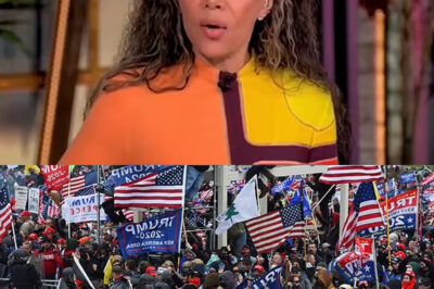 Sunny Hostin Sparks Firestorm After Comparing January 6 to Slavery and the Holocaust!