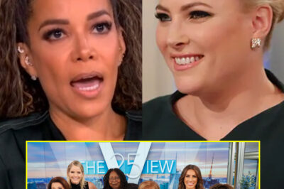 Sunny Hostin Fires Back at Meghan McCain’s Scathing Column About ‘The View’