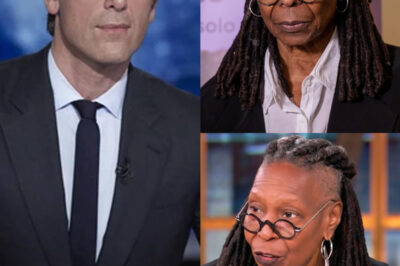 ABC Suspends Whoopi Goldberg Over Controversial Holocaust Remarks