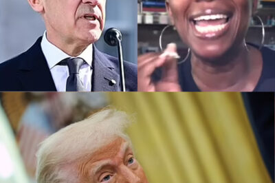 Joy Reid’s Outrageous Claim: “Canada Would Crush the U.S. in a War”