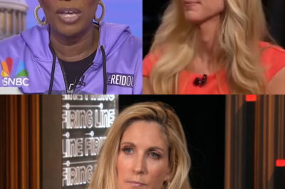 Ann Coulter’s Savage Takedown: “Joy Reid’s Career Was a Joke—And I Have the Receipts!”