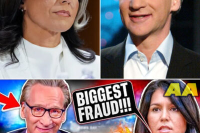Tulsi Gabbard SHUTS DOWN Bill Maher LIVE on His Own Show Over Controversial Statement