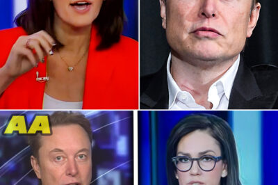 Elon Musk Obliterates Woke Narratives on Live TV — Exposes Corruption, Shatters Media Spin, and Leaves Fox News Rivals Reeling