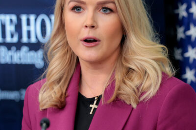 Karoline Leavitt Says Economy Is ‘Starting To Roar’ Despite Market Free Fall