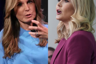 SHOCKWAVE: Karoline Leavitt EXPLODES on MSNBC’s Nicolle Wallace LIVE — Heartbreaking Truth Leaves Viewers STUNNED