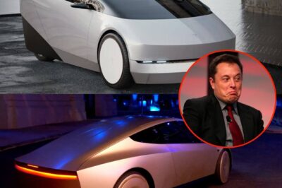 Tesla’s Robotaxi Project Officially Shelved: Elon Musk Cancels $10 Billion Vehicle Launch