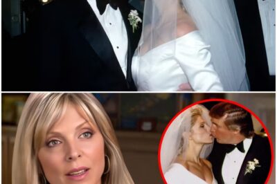 After 20 Years, Marla Maples Confirms Why She Divorced Donald Trump