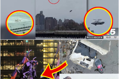 Family of five killed in New York tour helicopter crash ‘were celebrating one of the kids’ birthday’