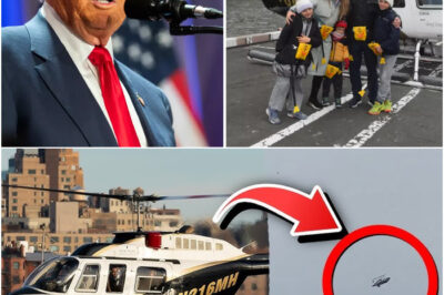 Donald Trump issues statement after 6 people die in NYC Hudson River helicopter crash