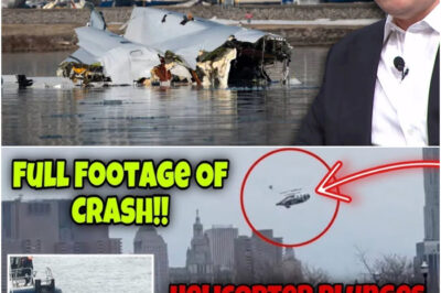 Elon Musk suddenly said this after the tragic helicopter crash in New York that killed six people