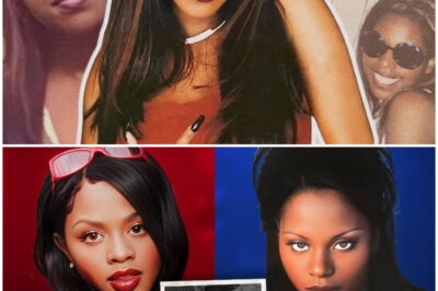 At 46, Foxy Brown FINALLY Confirms What We Feared..