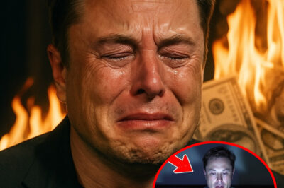 BREAKING NEWS: $44 Billion Vanishes in a Flash, Leaving Elon Musk to Face the Aftermath of a Sudden Crisis