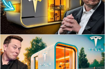 Elon Musk: “I Am Releasing Tesla’s $5,000 House Today!”
