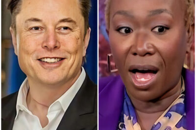 Elon Musk Confirms He Will Spend a Large Sum of Money to Buy MSNBC, Vows to Fire Joy Reid to “End the Toxicity” on Television Channels