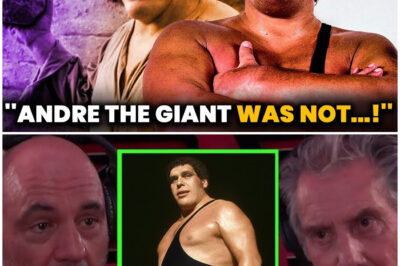 JRE: The Death Of Andre The Giant As They NEVER Told You..