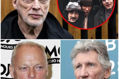 At 78, David Gilmour FINALLY Confirms WHY Roger Waters DESTROYED Pink