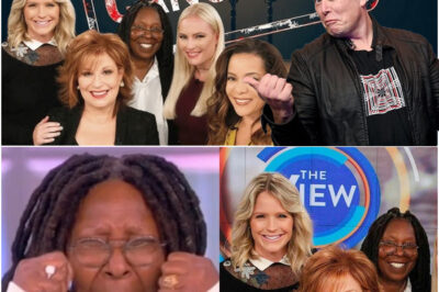 Shocking News: ‘The View’ Officially Cancelled After Decades on Air!