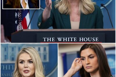 Kaitlan Collins questions Karoline Leavitt over First Amendment free speech after barring AP