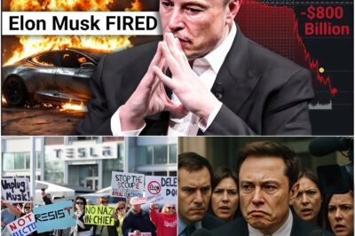 BREAKING: Elon Musk points the finger at the media for inciting attacks on Tesla, claiming he’s the victim of a conspiracy.