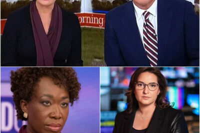 MSNBC’s two biggest stars will survive the network’s brutal shakeup, the biggest surprise finally confirmed