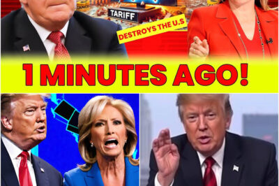 Fox News LOSES IT on AIR Over Trump’s Tariff Catastrophe as It Destroys the U.S. Economy