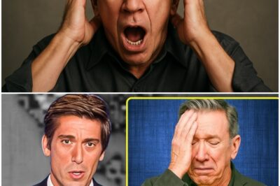 Here’s What They Found in Tim Allen’s Estate, And It’s Bad (N)