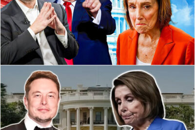 Elon Musk Drops the HAMMER on Nancy Pelosi — “She’s FINISHED!”