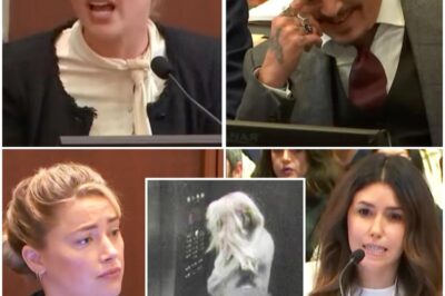 Johnny Depp’s Lawyer Grills Amber Heard on Late-Night Visit from James Franco