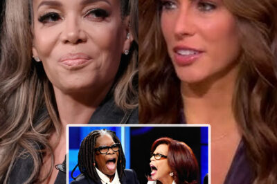 FOX NEWS SHOCKER: The View Erupts in Chaos! Sunny Hostin and Alyssa Farah Griffin’s Heated On-Air Clash—Whoopi Goldberg’s Jaw-Dropping Intervention! What Sparked This Explosive Confrontation? The Tension You Won’t Believe! Watch the Shocking Drama Unfold Live!