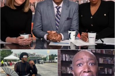 MSNBC announces the newest TV star to replace Joy Reid after brutally firing her, the biggest surprise is finally confirmed