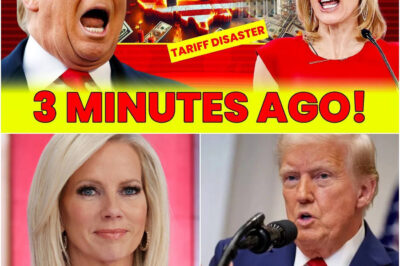 Fox News PANICS on LIVE TV over Trump TARIFF DISASTER Crippling Stock | TANTRUMS Over Trump Tariffs